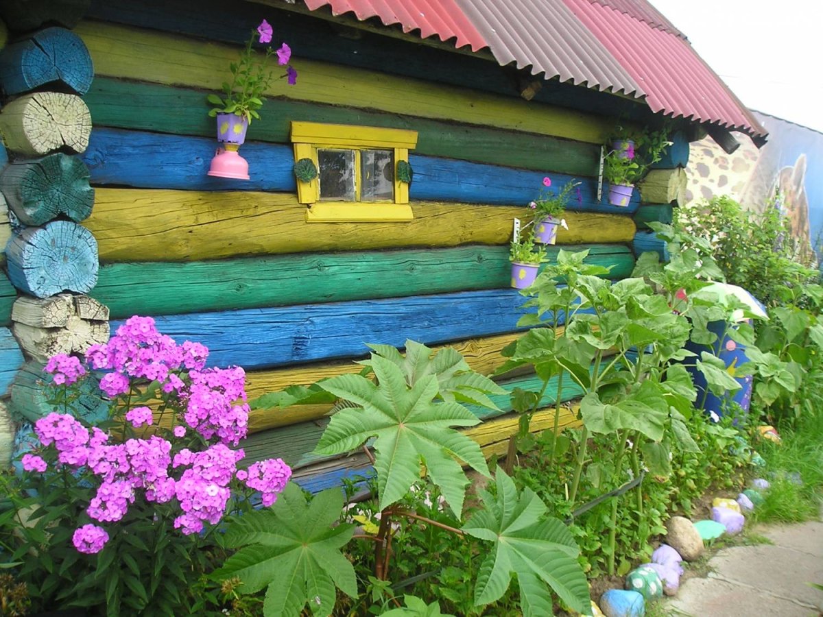 Разноцветная дача