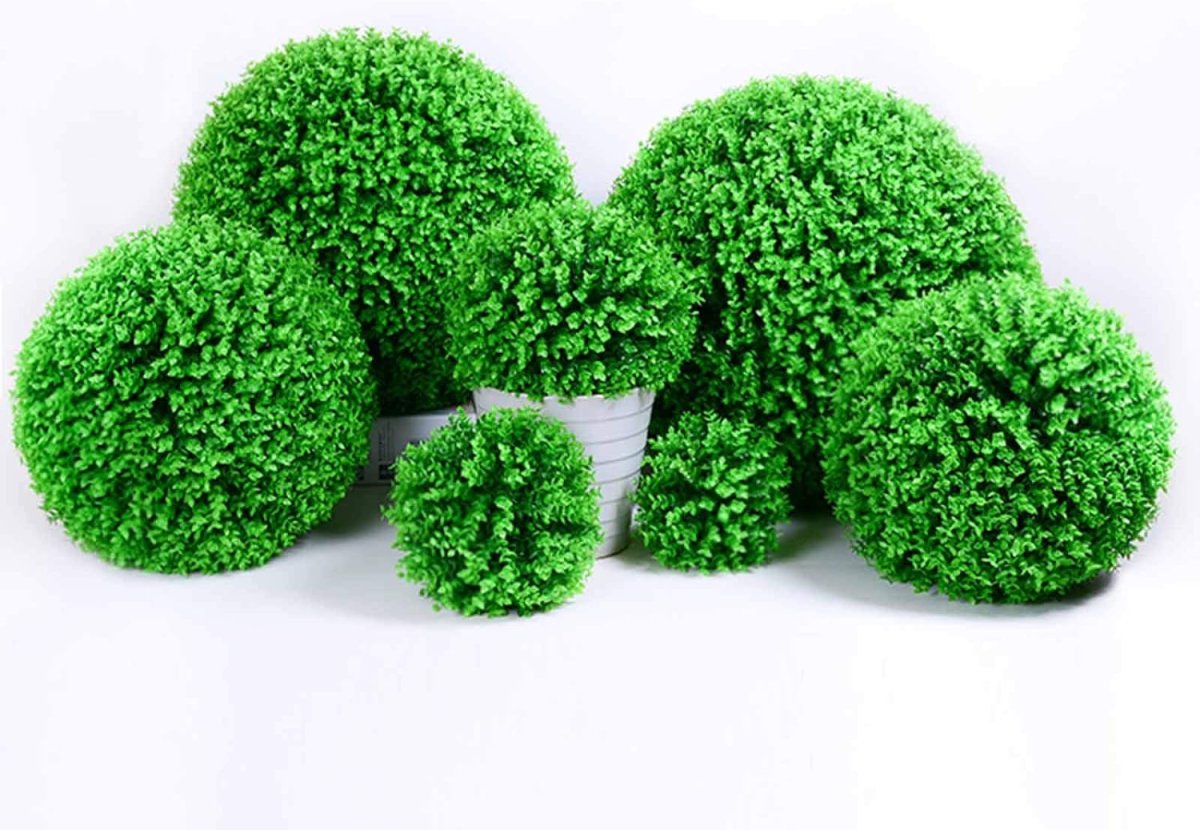 Marimo Moss balls