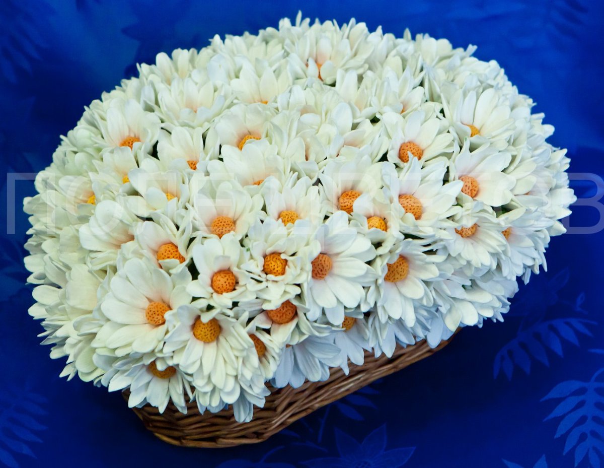 Самый красивый букет из ромашек