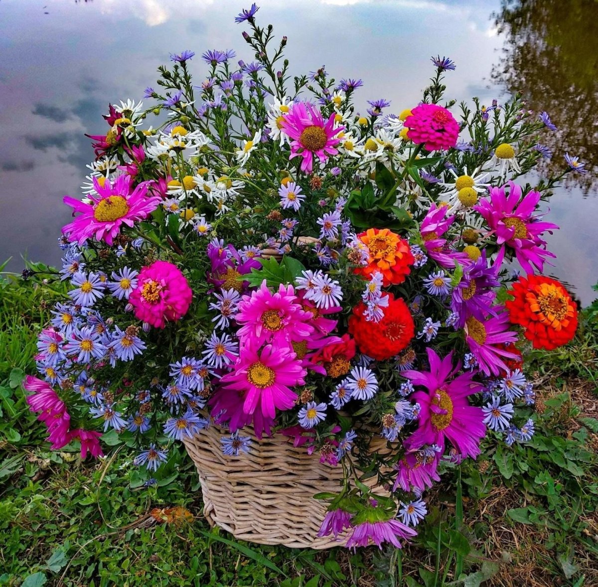 Дачный букет
