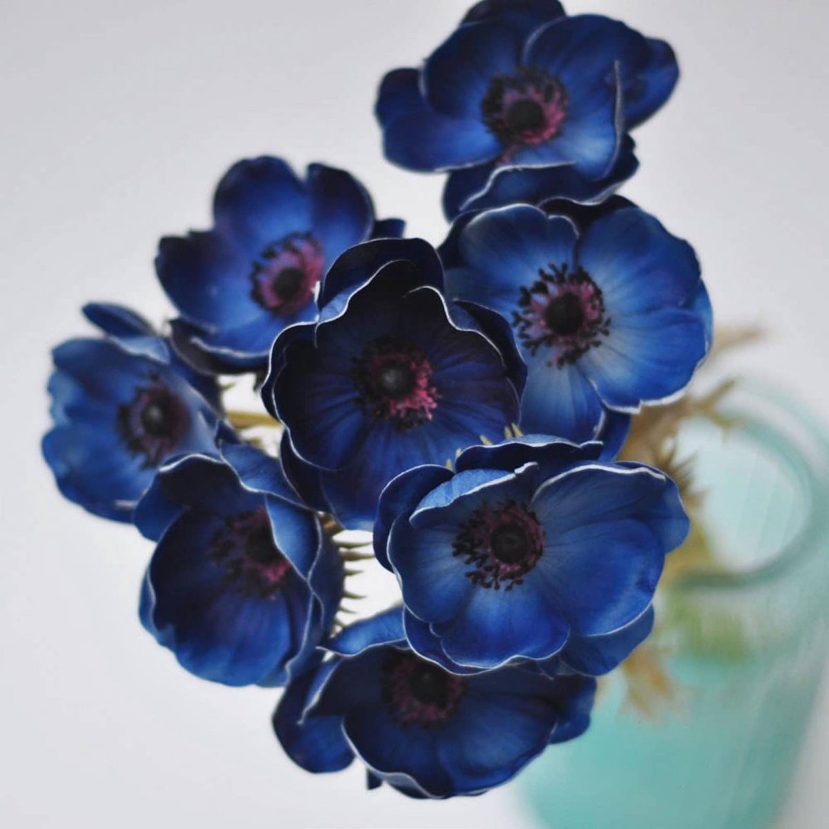 Натуральные синие цветы