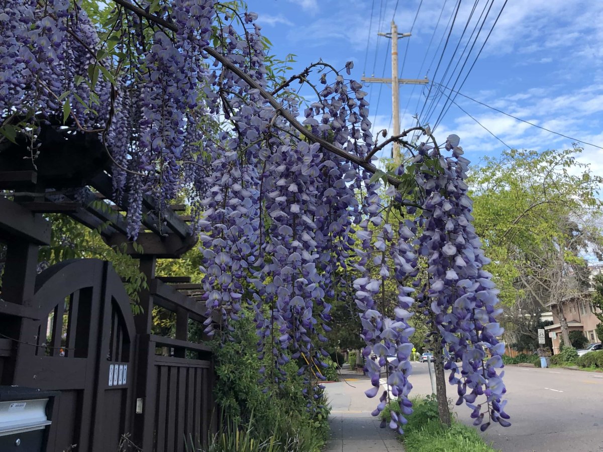 Ribbon Street, the Orchards, Akasia, Pretoria