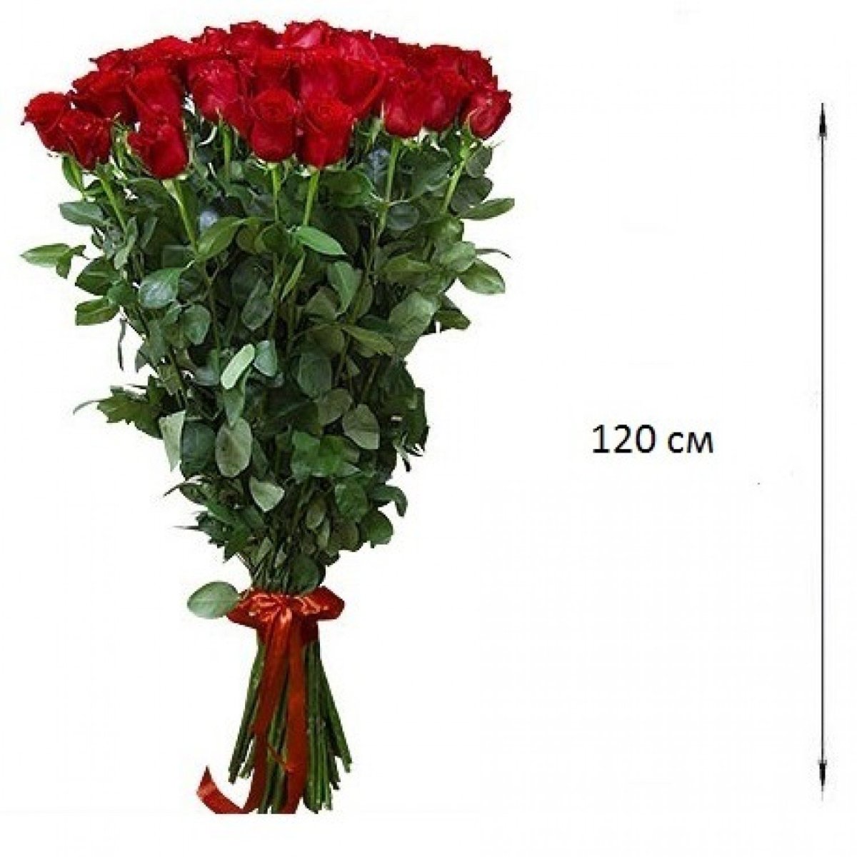 Фридом роза 100 см