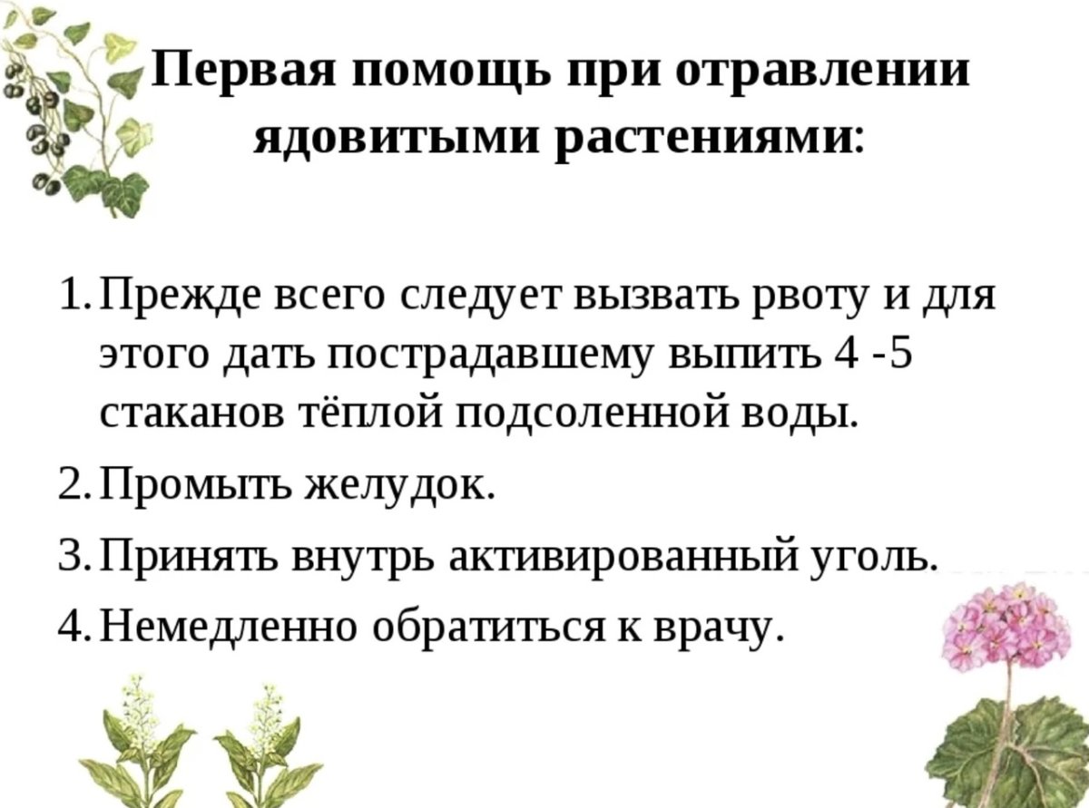 Первая помощь при отравлении ядовитыми растениями
