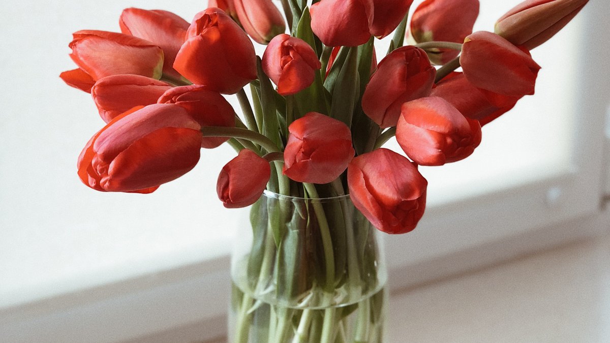 Цветы в вазе тюльпаны
