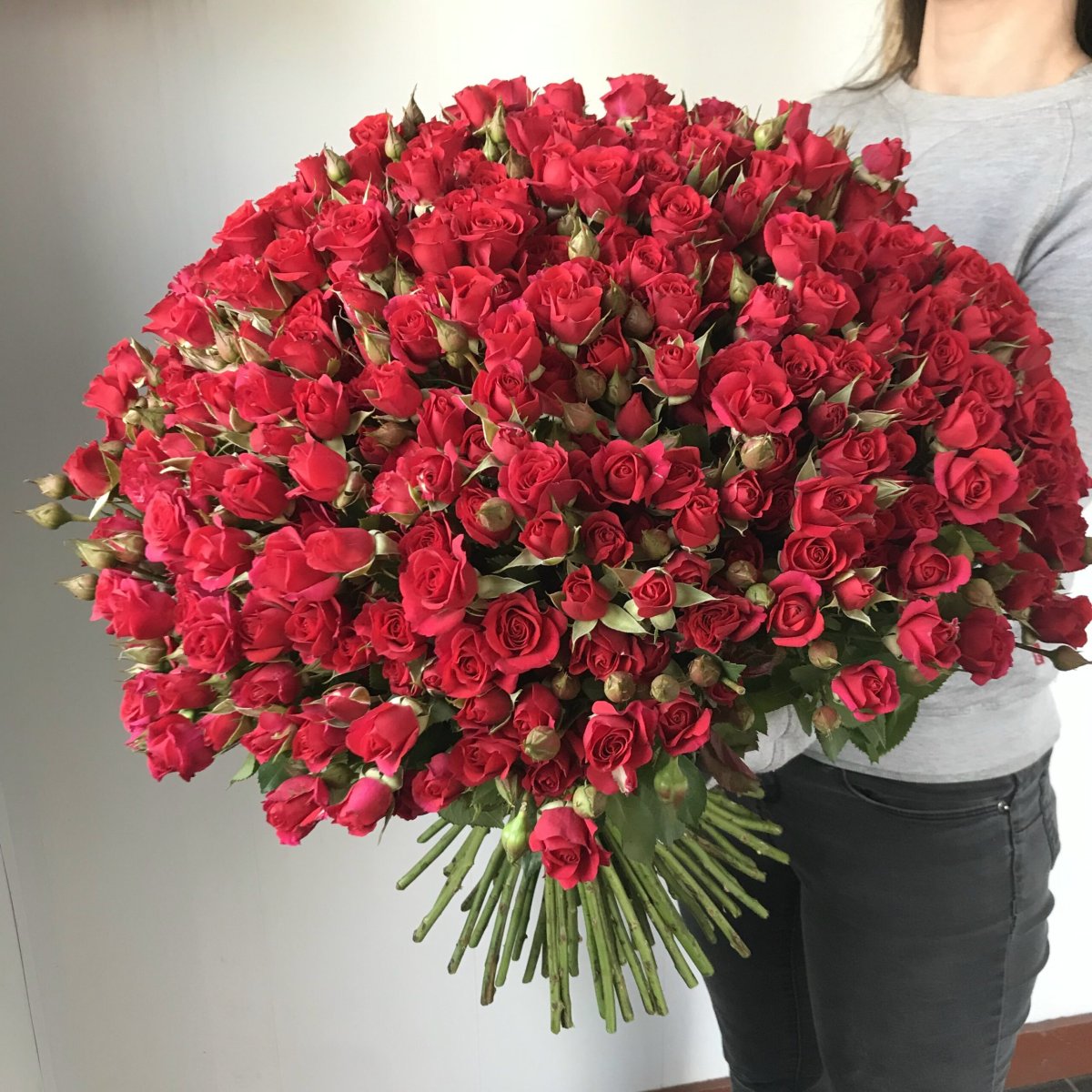 101 Красная кустовая роза