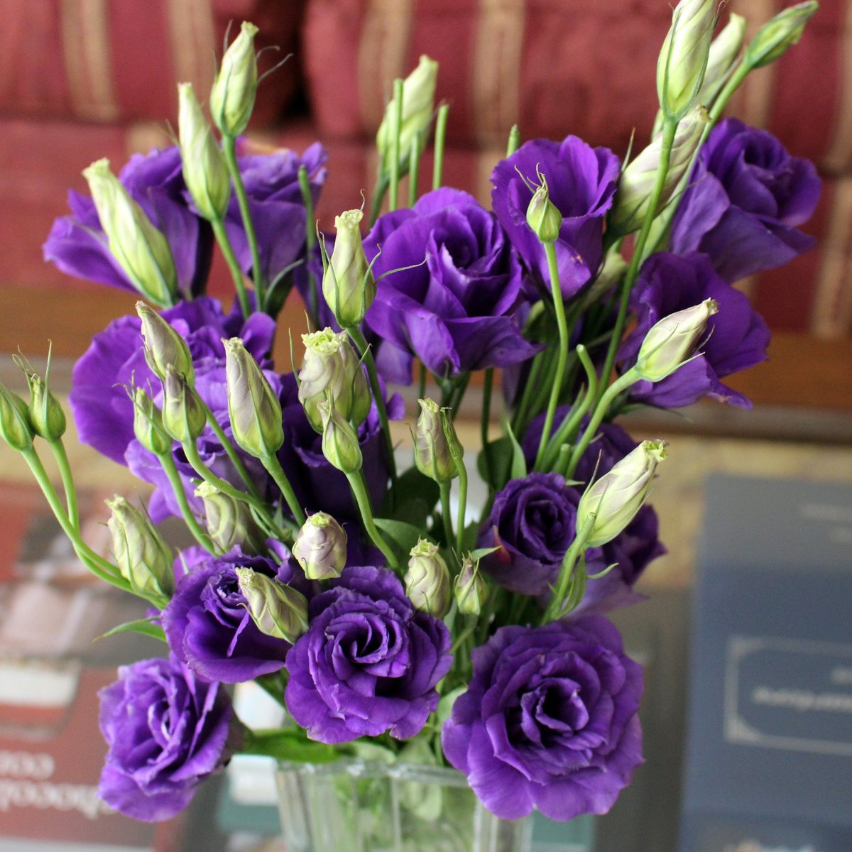 Эустома (Lisianthus)