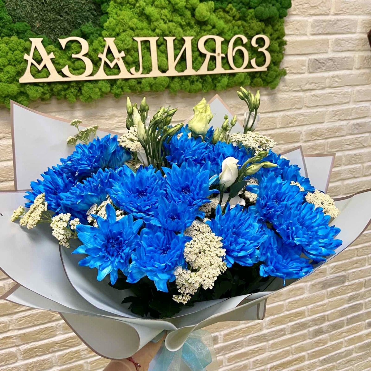 Хризантема кустовая синяя