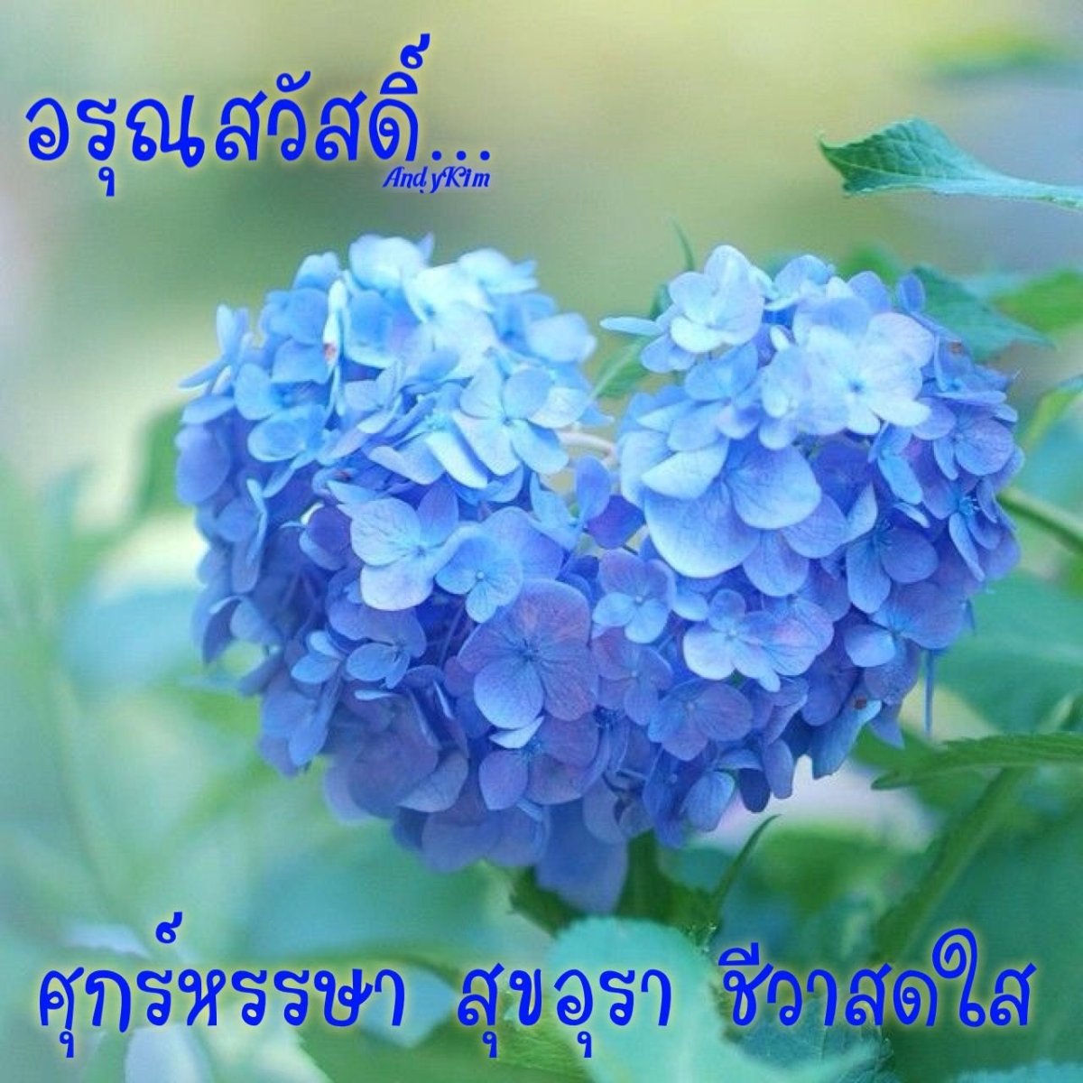 Гортензия Харт Блю