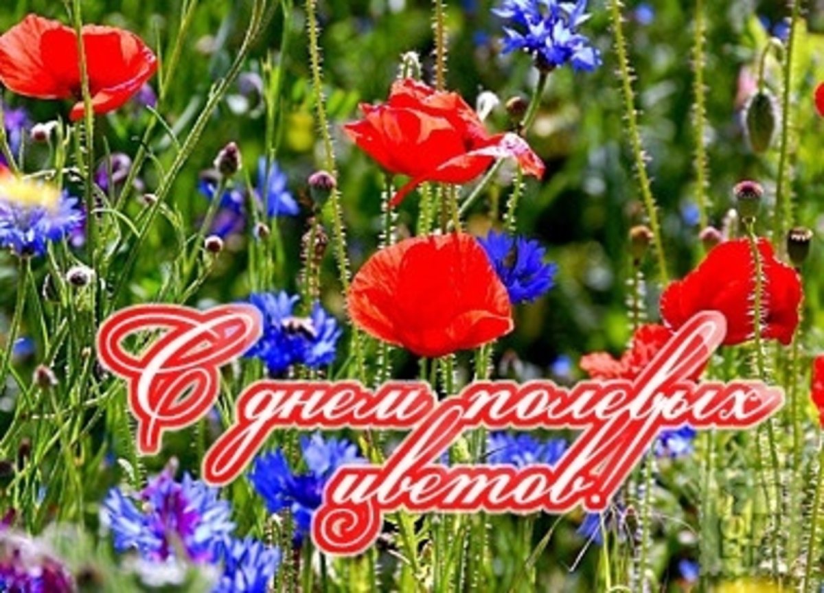 День полевых цветов 5 июня