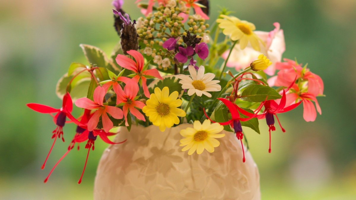 Букет летних цветов в вазе