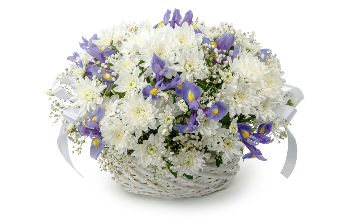Корзина с ирисами и хризантемами