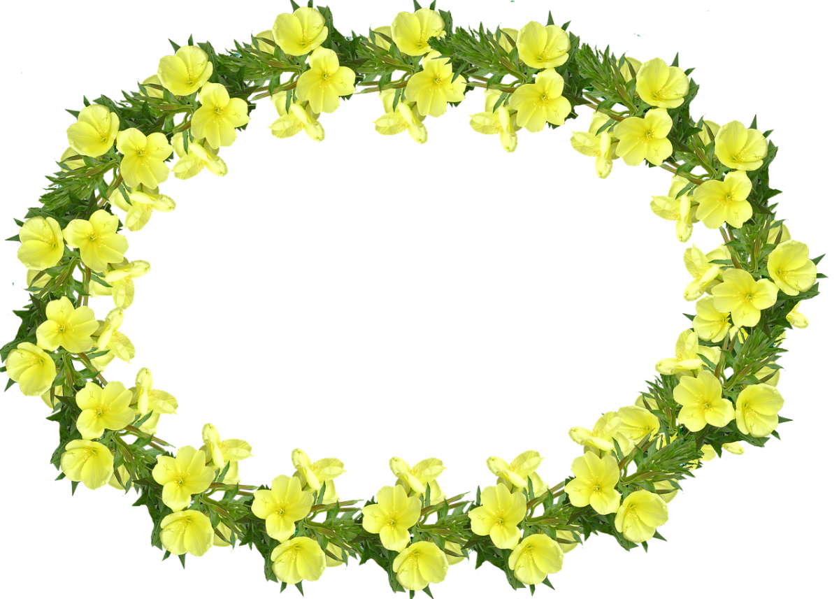 BWM&co Primrose border