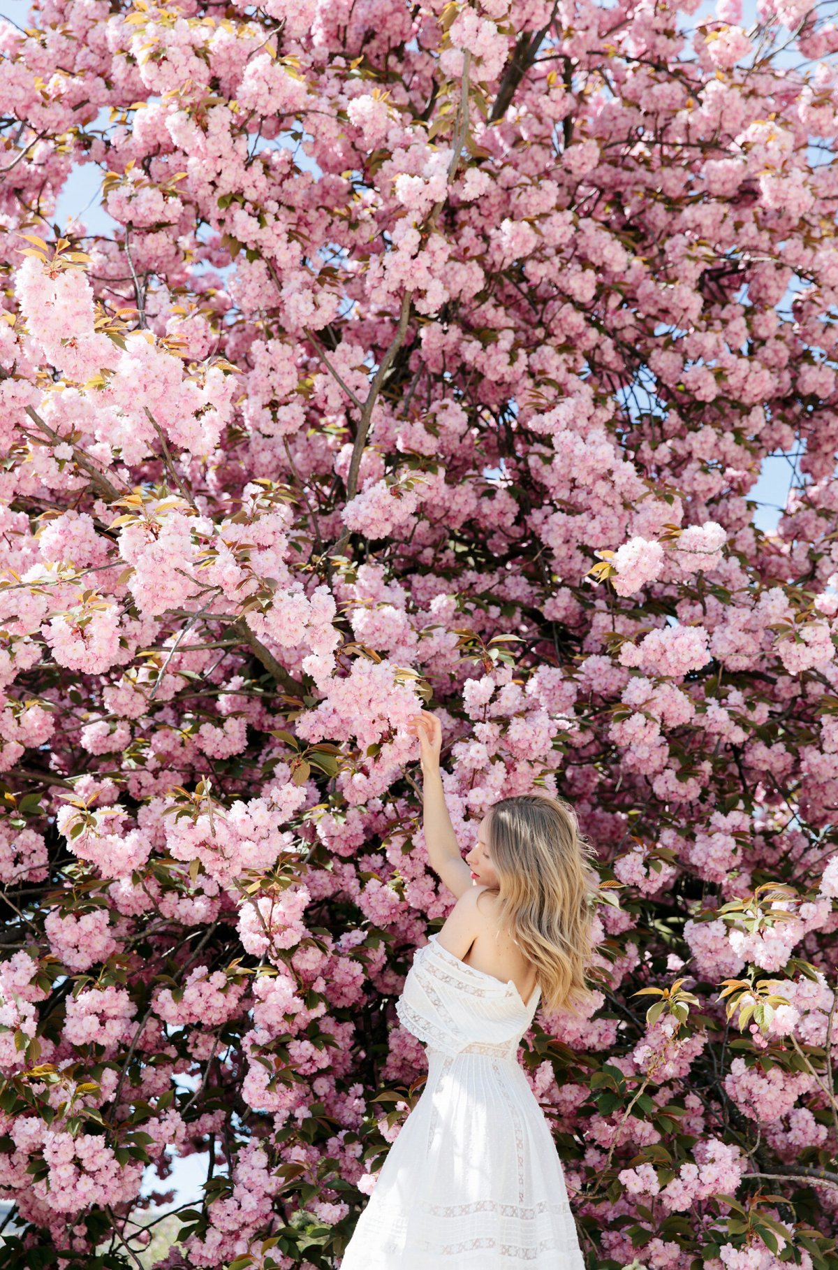 Spring girl Flowers Paris