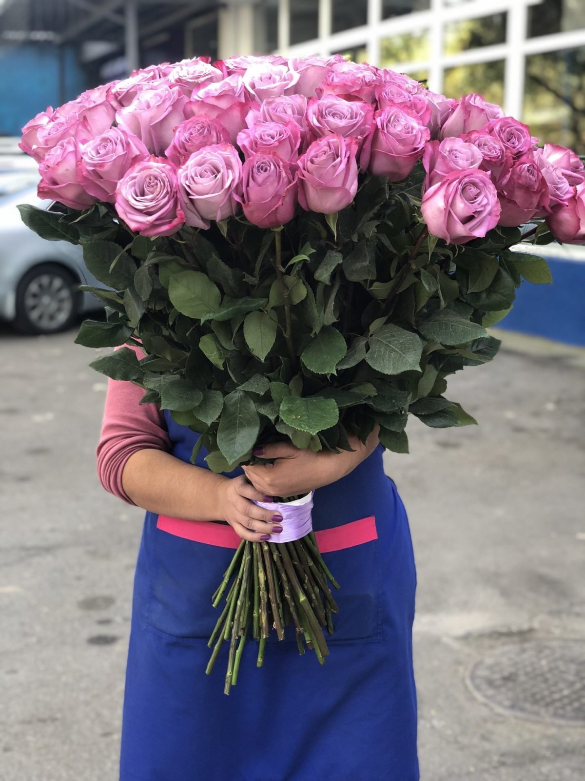 Роза Фридом Голландия