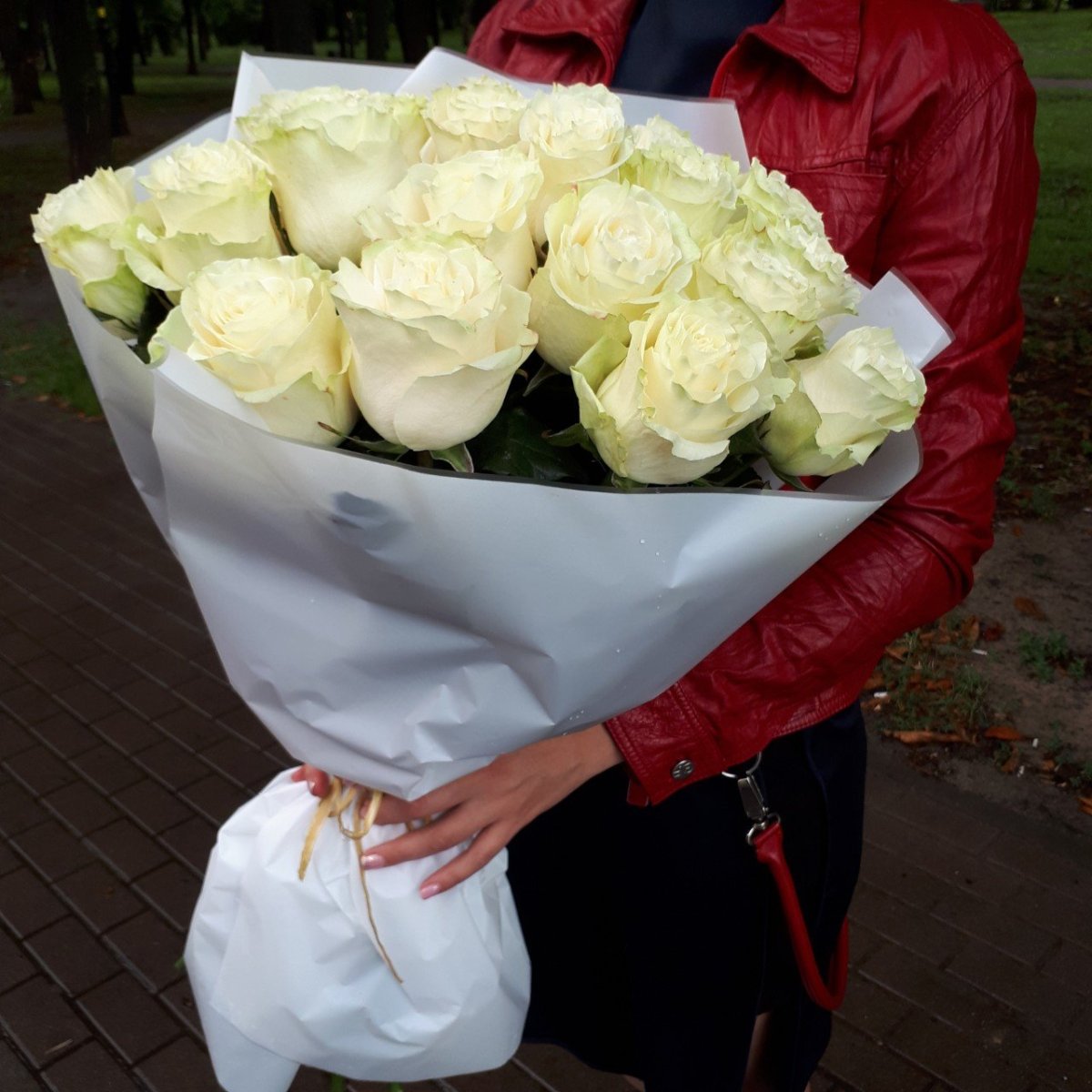 Эквадорские белые розы, 25 роз