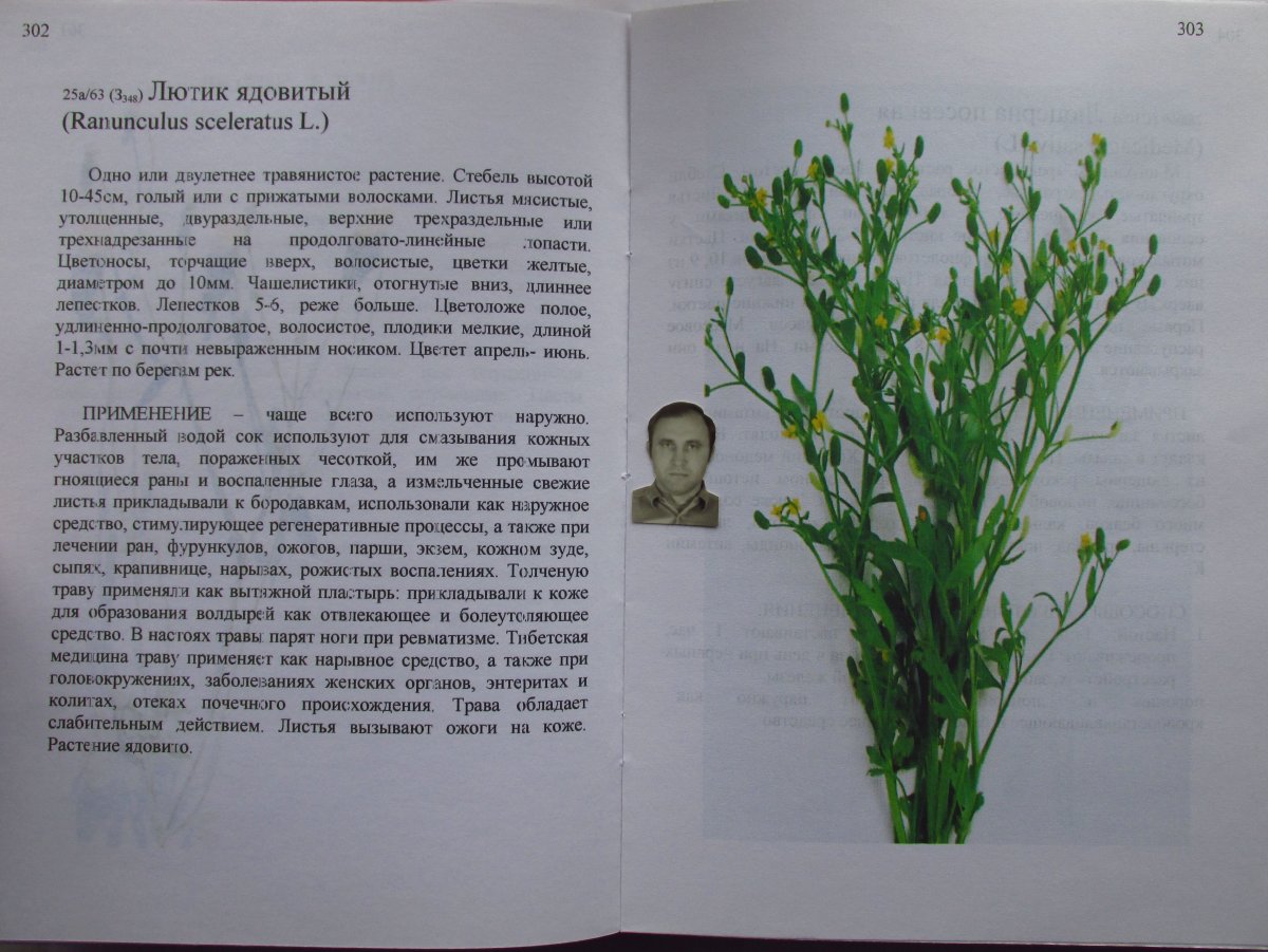 Цветы лютики ожоги