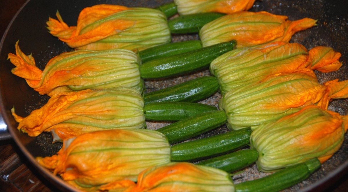 Аэлита кабачок Фиори Фритти