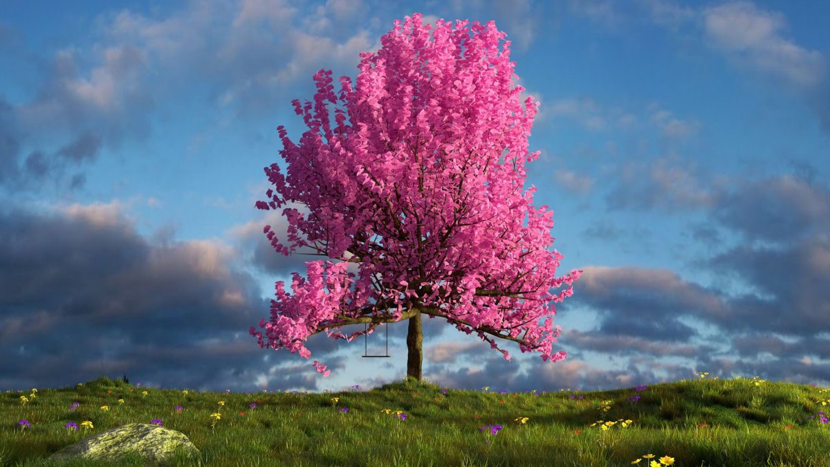 Красивое дерево с розовыми цветами