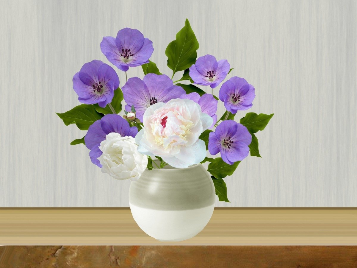 Flower in a Pot