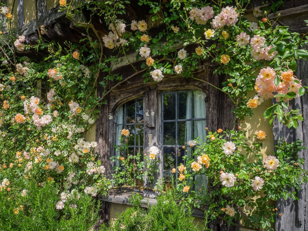 Деревенский домик с цветами