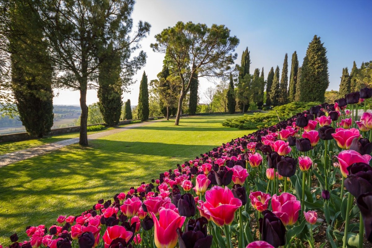 Парк Сигурта Италия. Парк Сигурта Италия аллея роз. Парк Сигурта в Вероне. Сигурта парк тюльпаны.