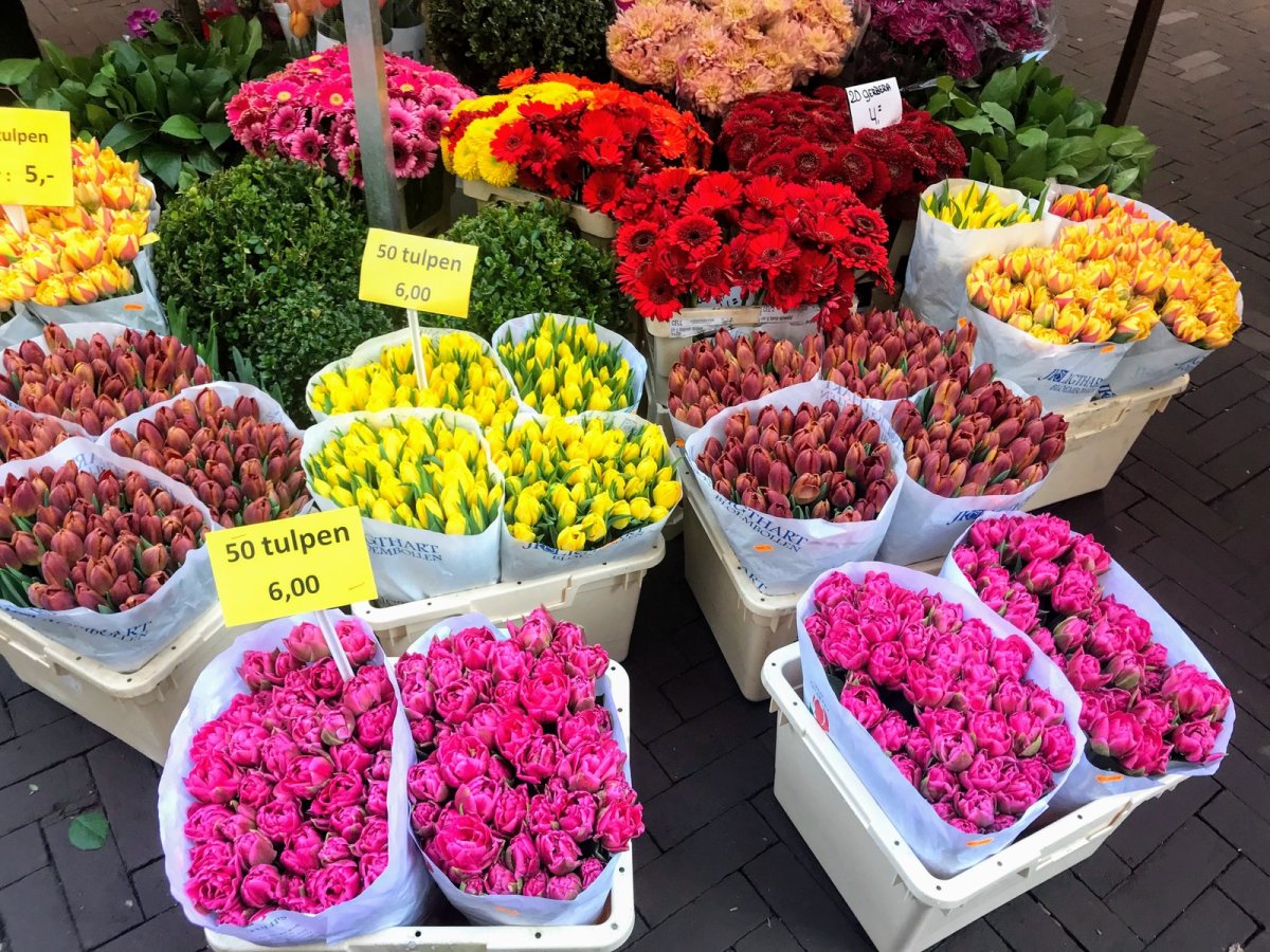 Цветочный рынок "Bloemenmarkt"