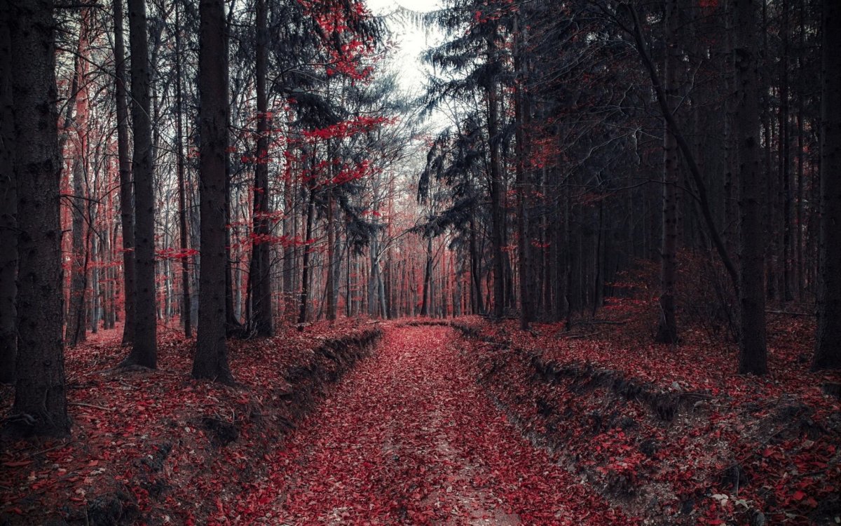 Мрачный пейзаж