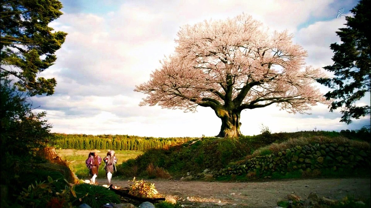 Like природа