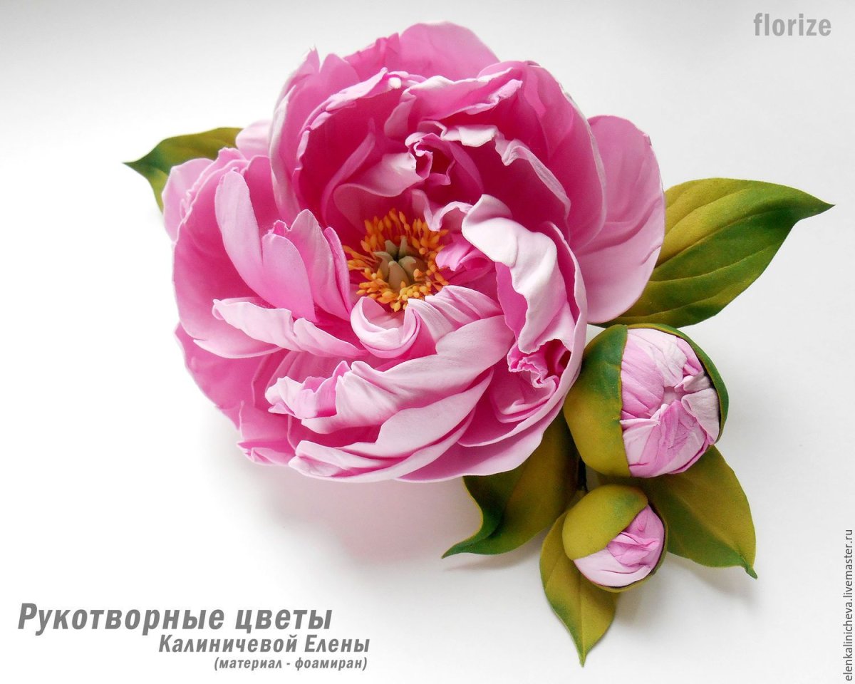 Бутон пиона из фоамирана