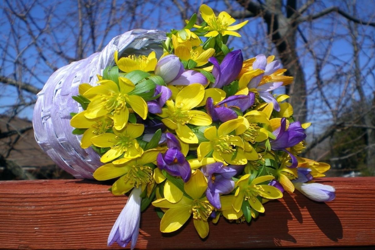 Весенний букет