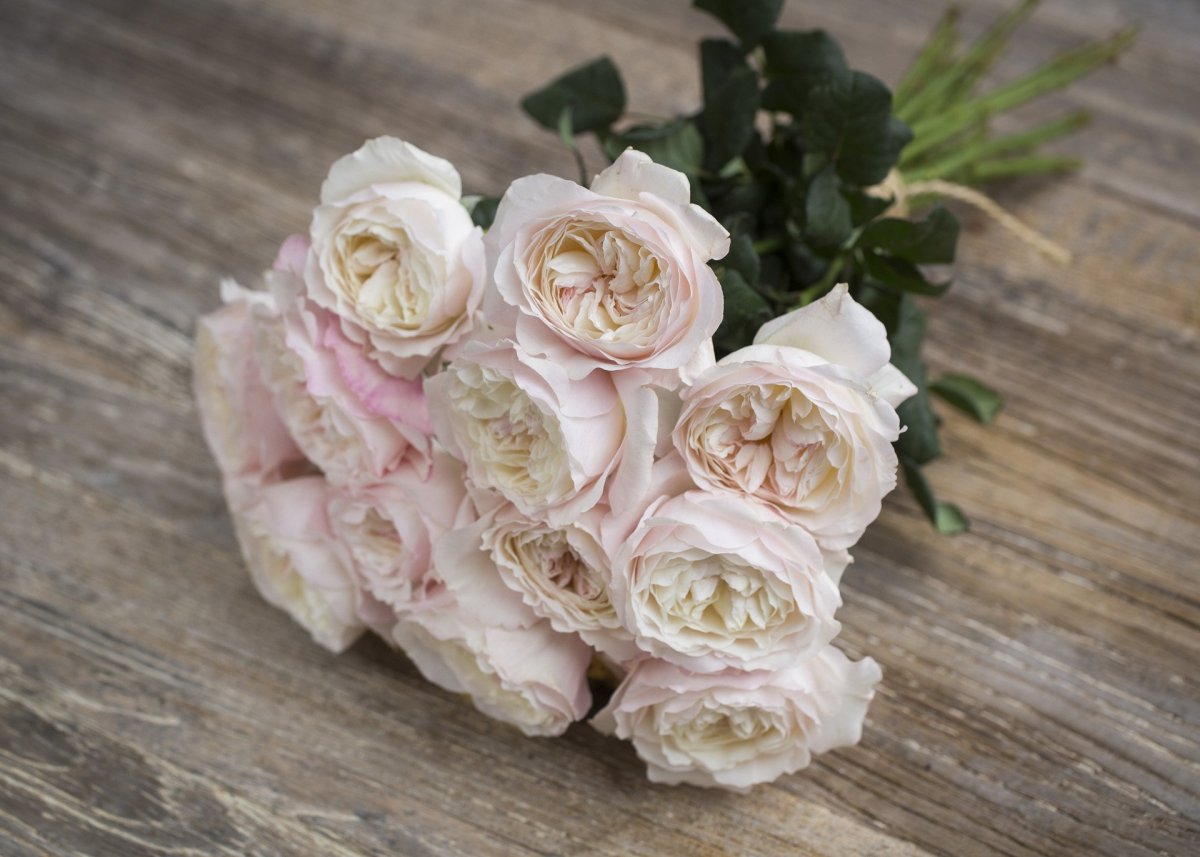 Роза букет невесты сорт