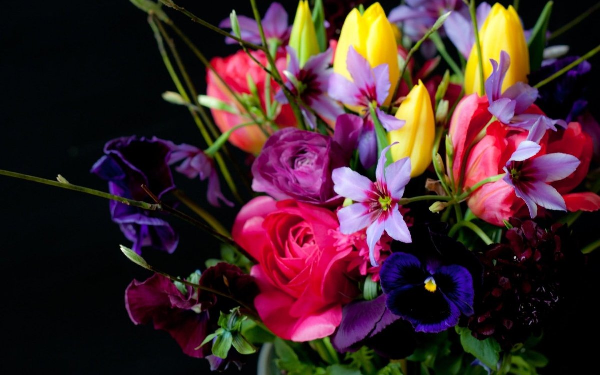 Фрезия (Freesia)