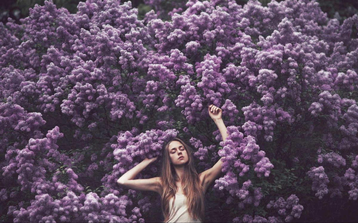Фиолетовый куст с белыми цветами