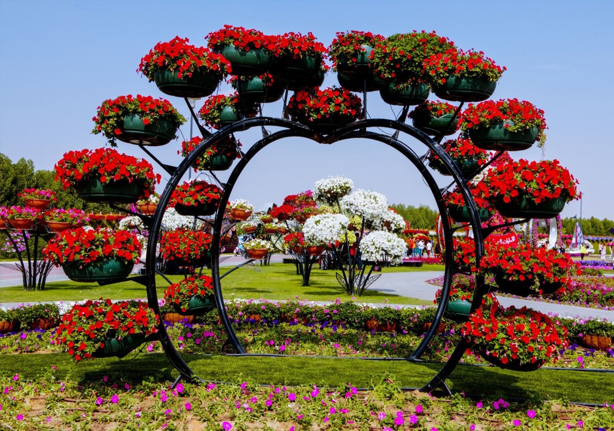 Дубай Миракл Гарден Dubai Miracle Garden
