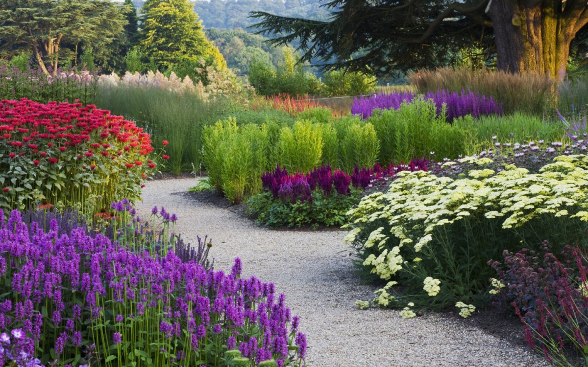 Russia has many beautiful Plants and Flowers and one of the prettiest