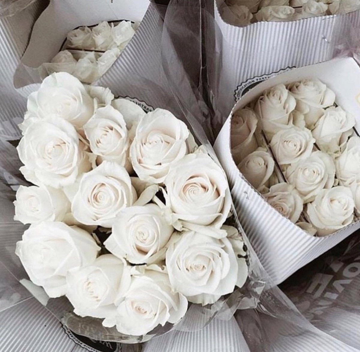 Маленький букет белых роз