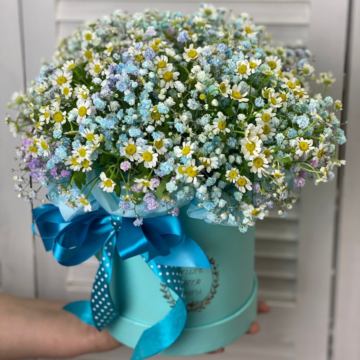 Гипсофилы с ромашками