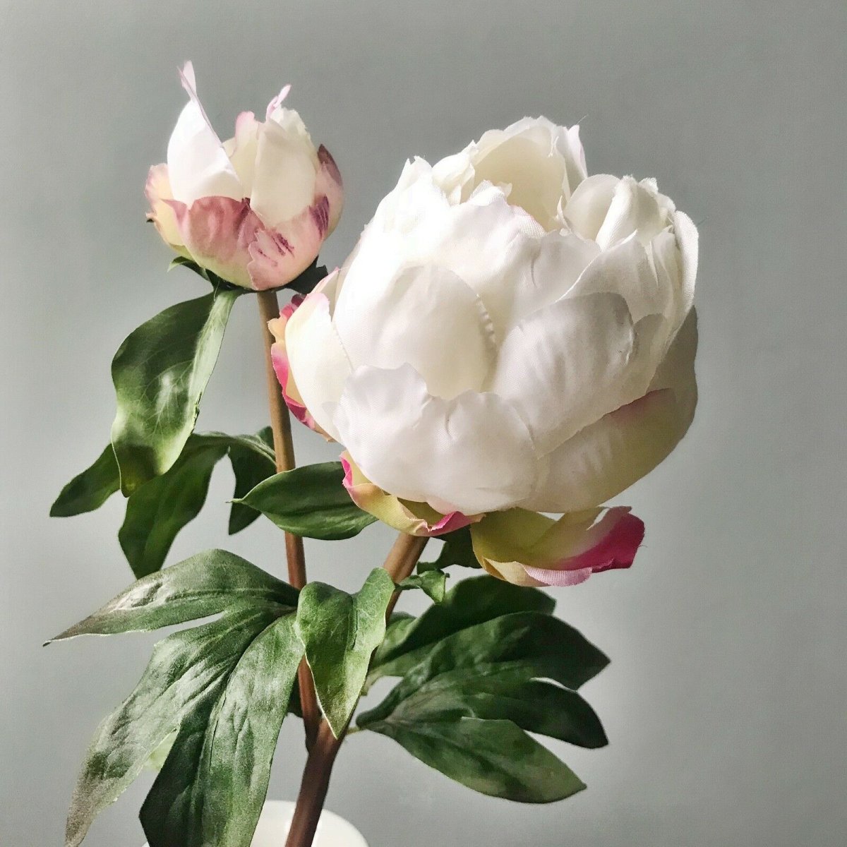 Пион Heavenly White