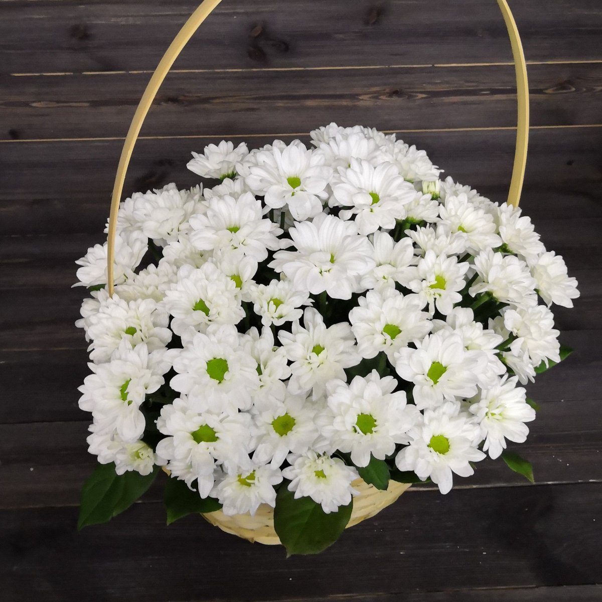 Кулёк из хризантем Сантини