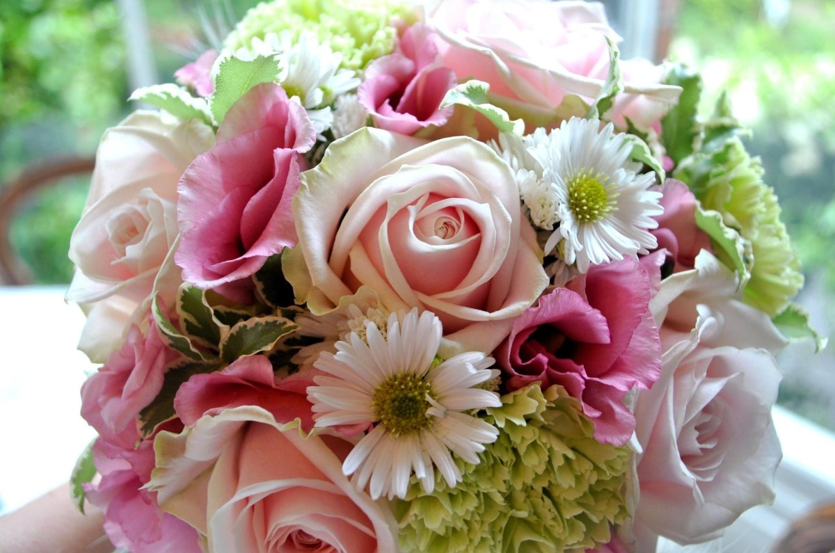 Астра Pink Bouquet
