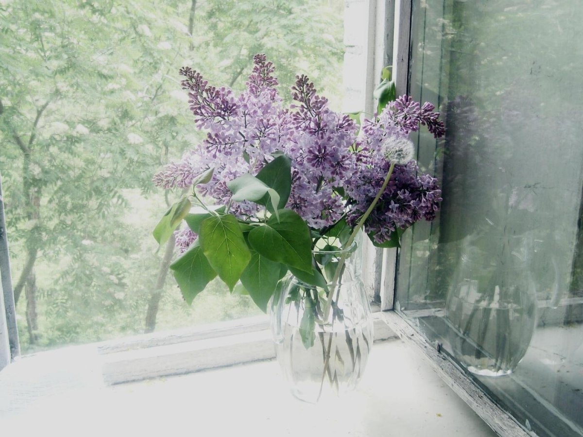 Окно Весна