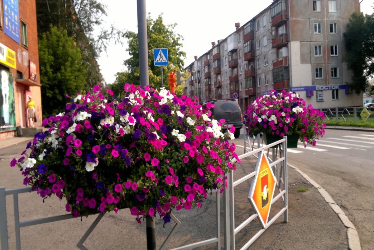 Клумба Кемерово