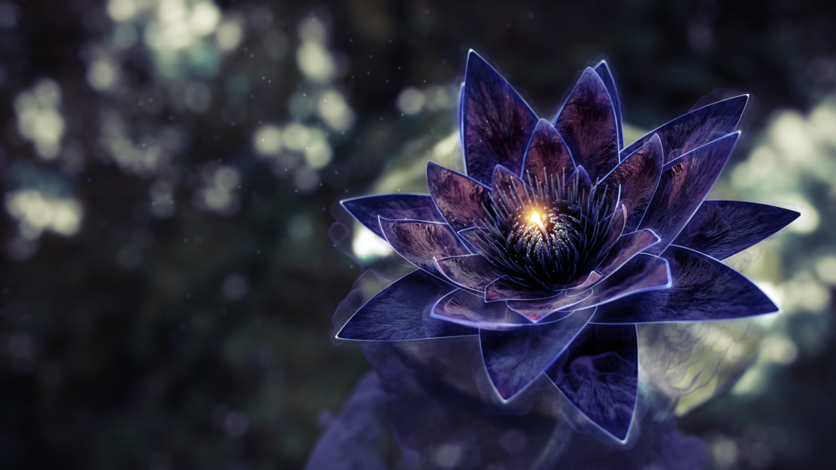 Black Lotus (черный Лотос)