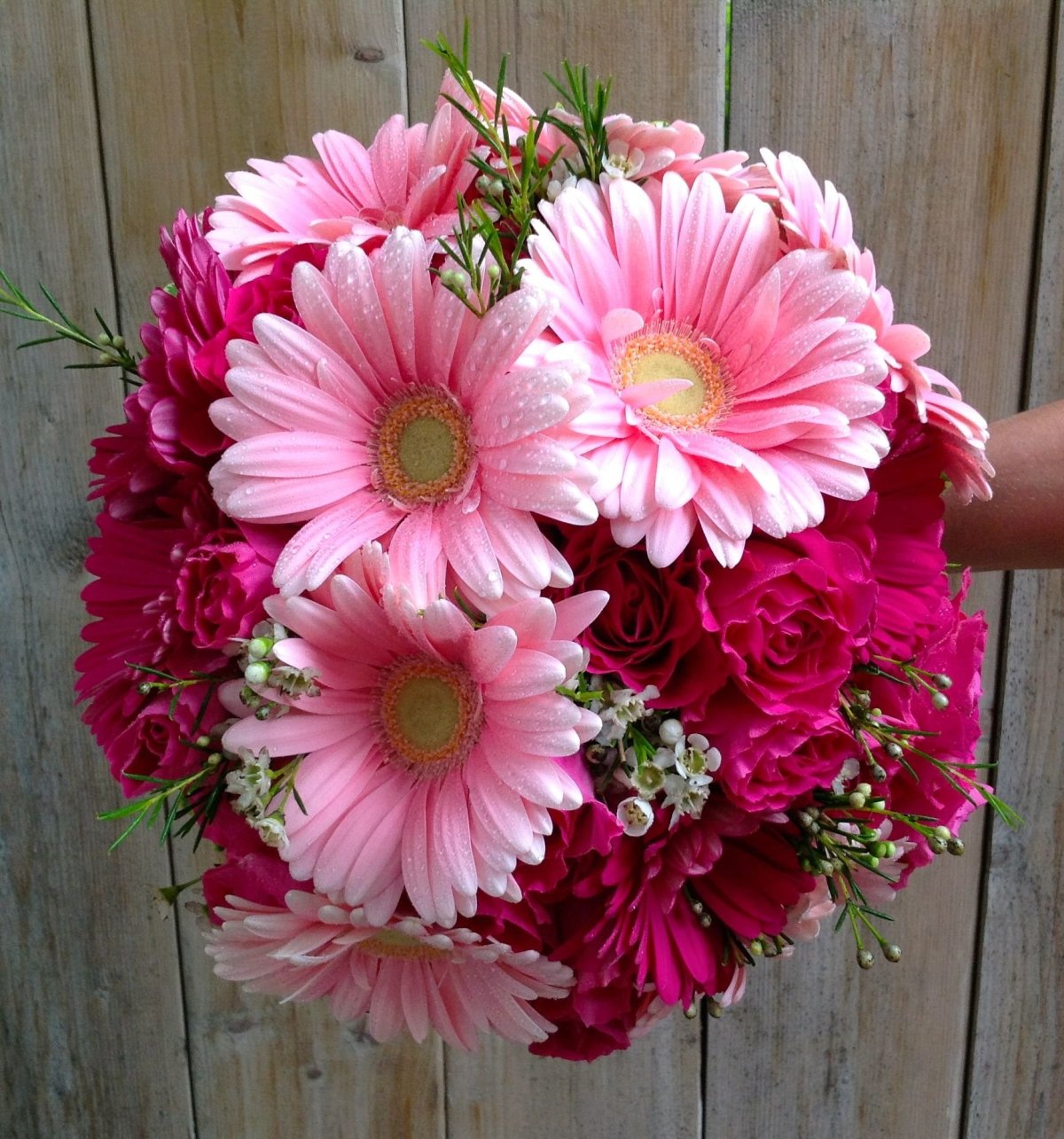 Gerbera Daisy Bouquet