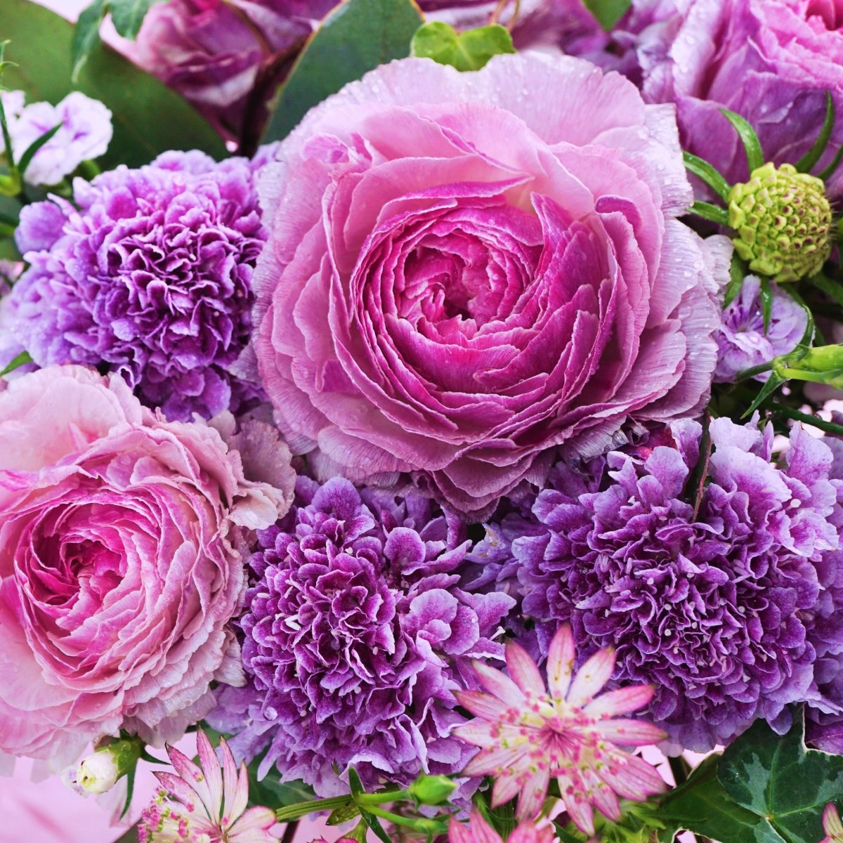 Фиолетовые пышные цветы