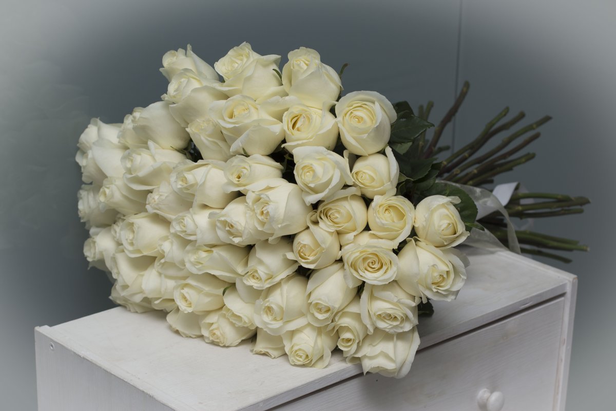 55 Роз Эквадор Мондиаль