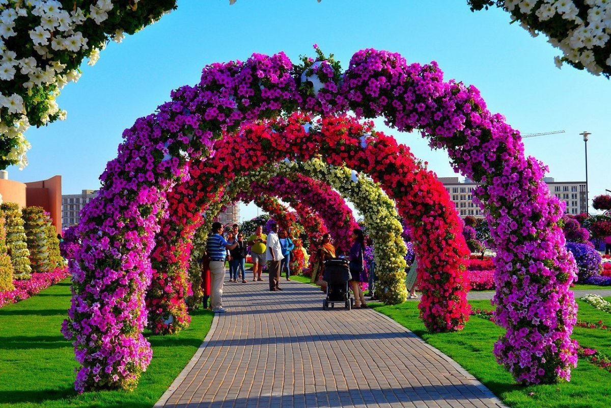 Дубай Флауэрс Гарден